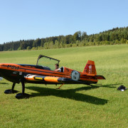 Hamilton_Trophy_Buttwill2015_04